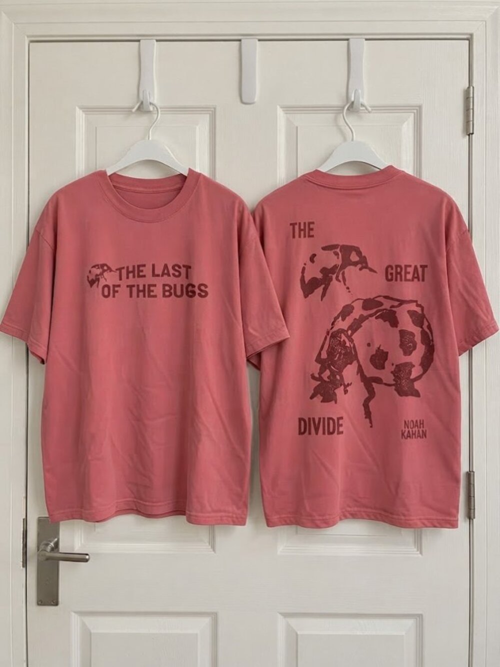 Noah Kahan The Great Divide The Last of The Bugs Tour 2026 Tee